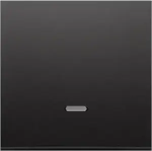 Клавиша с окошком для механизмов Kontakt-Simon Simon 54 — для SW1M SW6M SW7M SP1M, матовый черный (DKW1L/49)