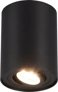 Griestu lampa TRIO COOKIE 612900132 melna cauruļveida ietvara
