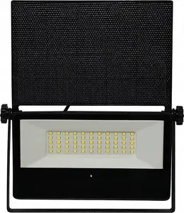 Floodlight BestService Lumax Solar 7W 860lm 3.7V×2000mAh 740 IP54 with sensor (model LGS010NS)