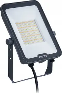 Floodlight Philips BVP167 LED60/830_40_65 50W 5500–6000 lm 3000K/4000K/6500K symmetrical