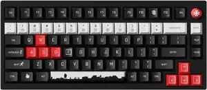 Mechanical Compact Keyboard Keychron P1H-M1P-DZ — Tenkeyless, Low-profile, Wired/Wireless Options