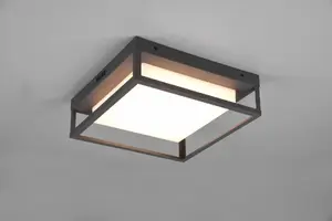 Ceiling outdoor light DELIGHT Trio Witham 677860142 IP54 1x14W LED 2300–4000K anthracite
