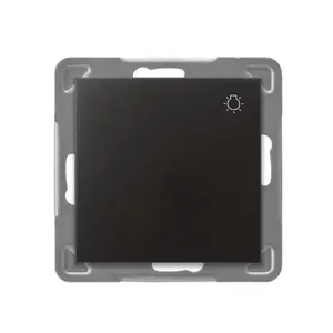 Wall Switch Ospel ŁP-5Y/m/50 anthracite, IP20, 250V AC, 10A, 71×71×40 mm