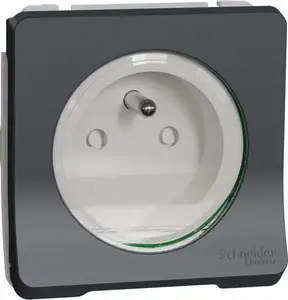 Socket mechanism 2P+PE Schneider Electric Mureva Styl MUR38030 screw terminals IP55 anthracite