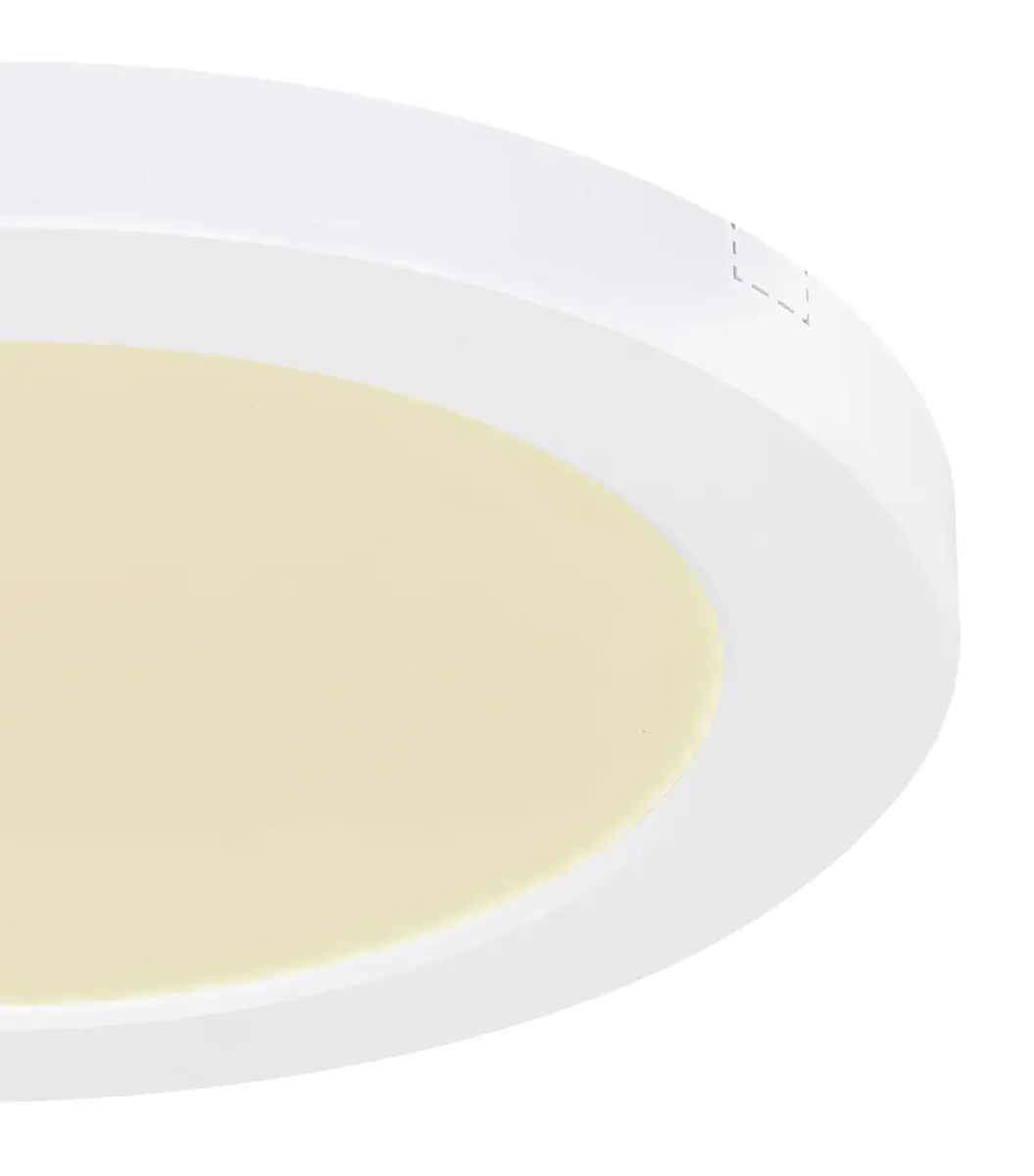 GLOBO 12379-18W потолочный LED светильник Photo 4