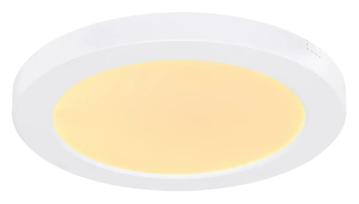 GLOBO 12379-18W потолочный LED светильник Photo 5