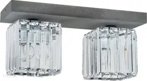 Griestu lampa Spot Light Gallant 2x60W E27, betona apdare ar caurspīdīgiem elementiem, modelis 2244236
