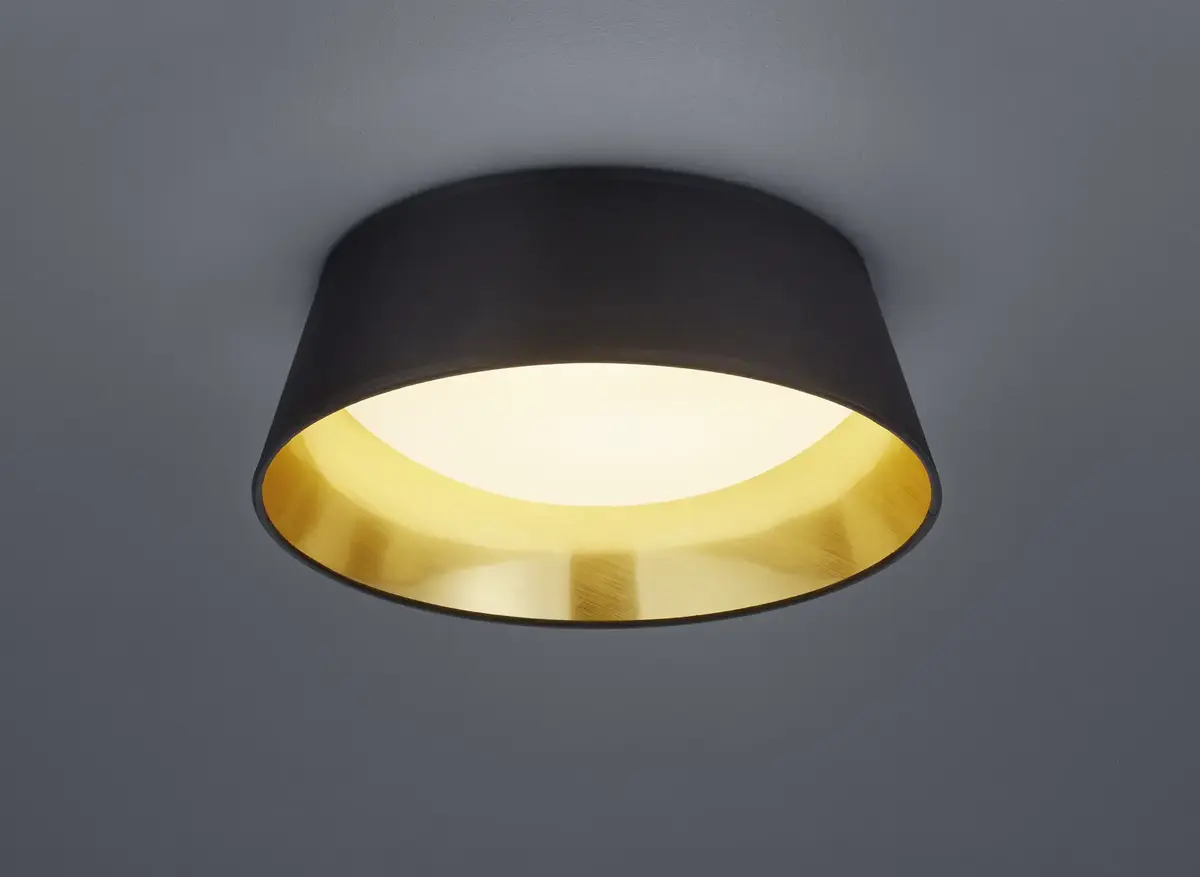Griestu lampa TRIO Ponts LED 14 W Photo 2