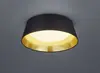 Griestu lampa TRIO Ponts LED 14 W Photo 2