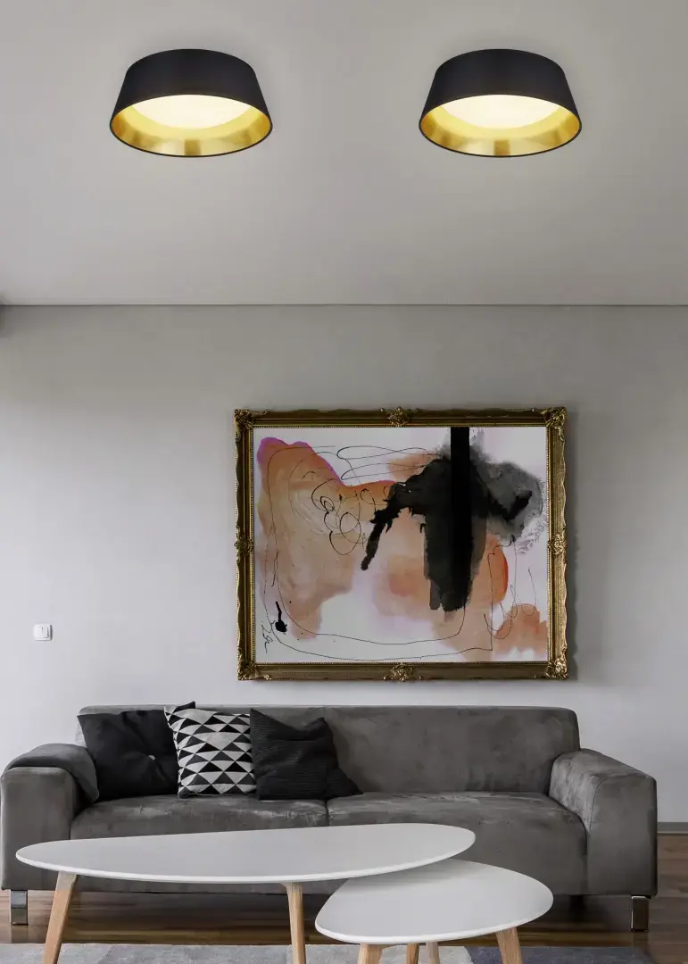 Griestu lampa TRIO Ponts LED 14 W Photo 3