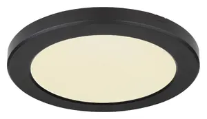 Потолочный светильник GLOBO 12379-18B LED, 18 Вт, диаметр 22 см, IP20, класс II