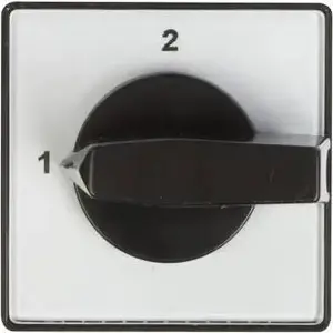 Apator cam switch 1-2, single-pole 1P 10A for flush mounting 4G10-55-U (MPN 63-840348-011)