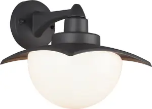 Āra sienas lampa TRIO DONEZ 204960142 — grafīta krāsa, sienas āra gaismeklis
