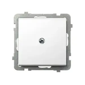 Wall Switch Module Ospel Z-1R/m/00 — single-gang flush-mount electrical switch module