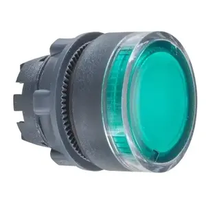 Button Schneider Electric ZB5, green, compatible with universal LED, weight 17 g