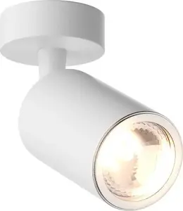 Wall Lamp Zuma Line Tori 1x50W, model 20016-WH, white finish