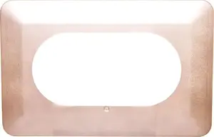 Wall plate cover ZAMEL double satin OS X-220-SAT (model YNS10000040) for dual-gang installation