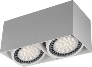 Потолочный спот Zuma Line Box 2 ACGU10-116-N, 2×15W, цоколь GU10, серый