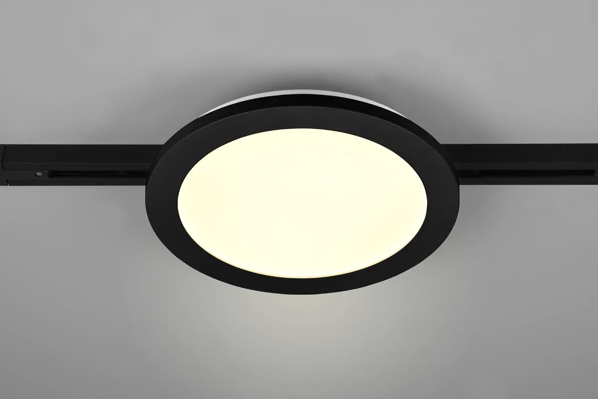 Griestu lampa TRIO Camillus LED 13 W Photo 2