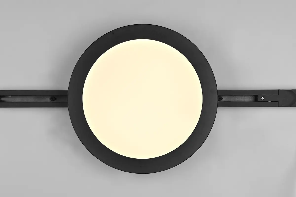 Griestu lampa TRIO Camillus LED 13 W Photo 3