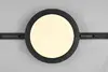 Griestu lampa TRIO Camillus LED 13 W Photo 3