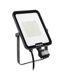 Floodlight Philips Ledinaire 53479799, LED 20W, 4000K neutral white, IP65, grey, aluminium/PC housing