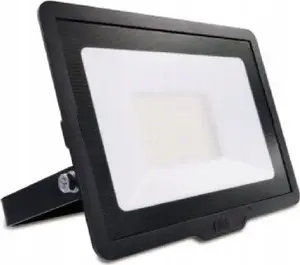 LED Floodlight Philips PILA BVP007 10W 4000K 850 lm (model 911401732202)