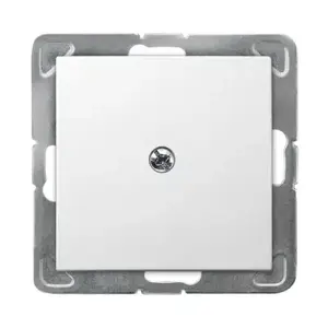 Switch module Ospel Z-1Y/m/00 — single-pole electrical switch module