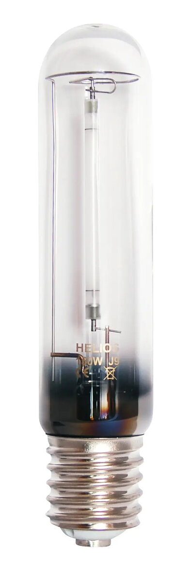 LED Bulbs