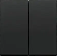 Двойная клавиша‑панель Kontakt‑Simon TKW5/149 для SW5M SP2M, матовый черный