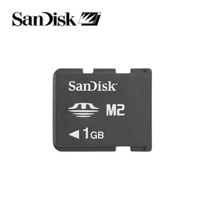 SANDISK Memory Stick Micro M2 1 GB flash memory card — used, tested, formatted