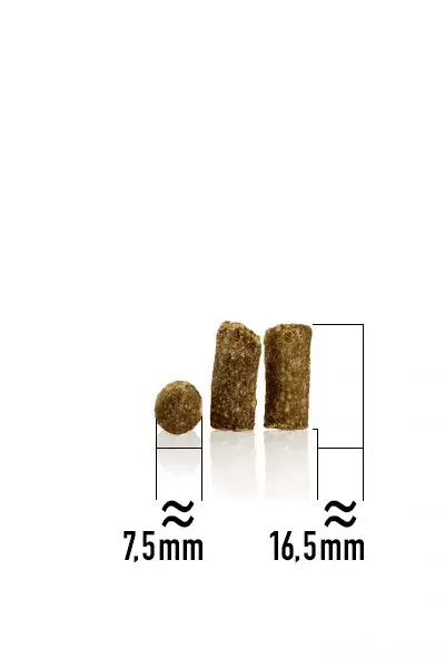Suns gaļas našķis happy dog Black Forest 75 g Photo 3