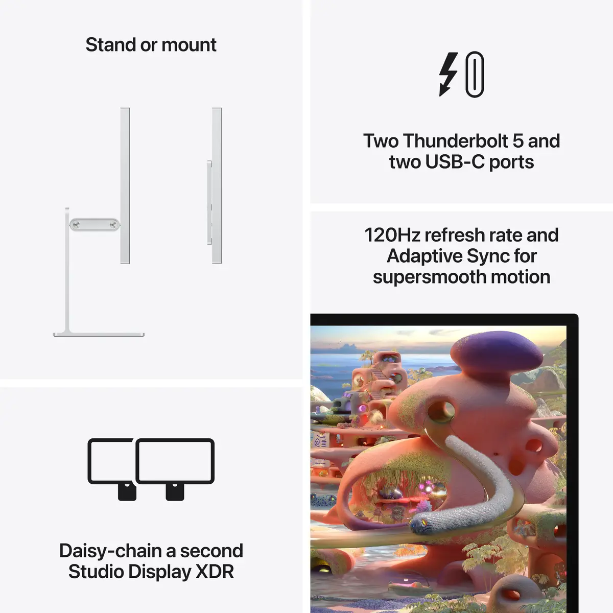 Apple Studio Display XDR 27" 5K Nano-texture VESA Photo 8