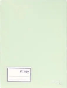 Portfolio album Strigo A4 with 20 transparent sleeves, mint