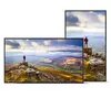 NEC PN-E439 43" 4K LCD дисплей Photo 2