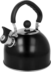 Stainless steel whistling kettle Brunbeste BB-2404, 2 L, induction and gas compatible, matte black