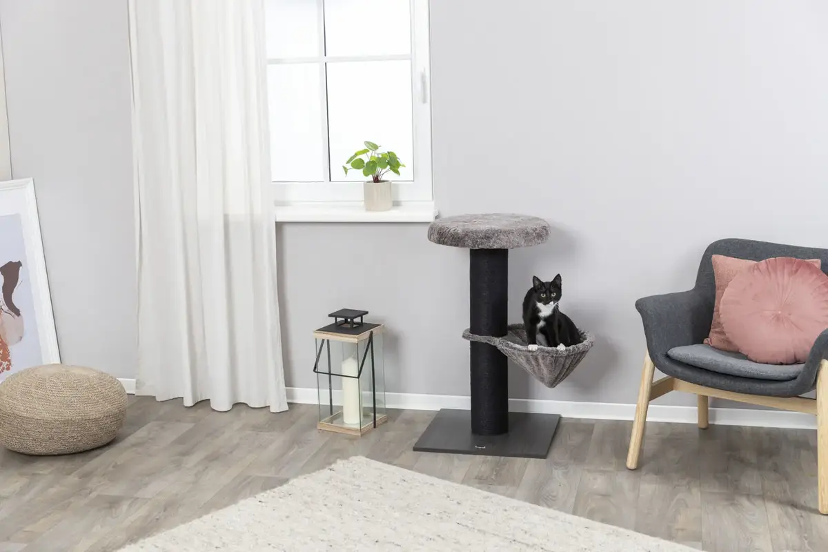 Cat scratcher Trixie 44458 — brown, 840 mm Photo 5