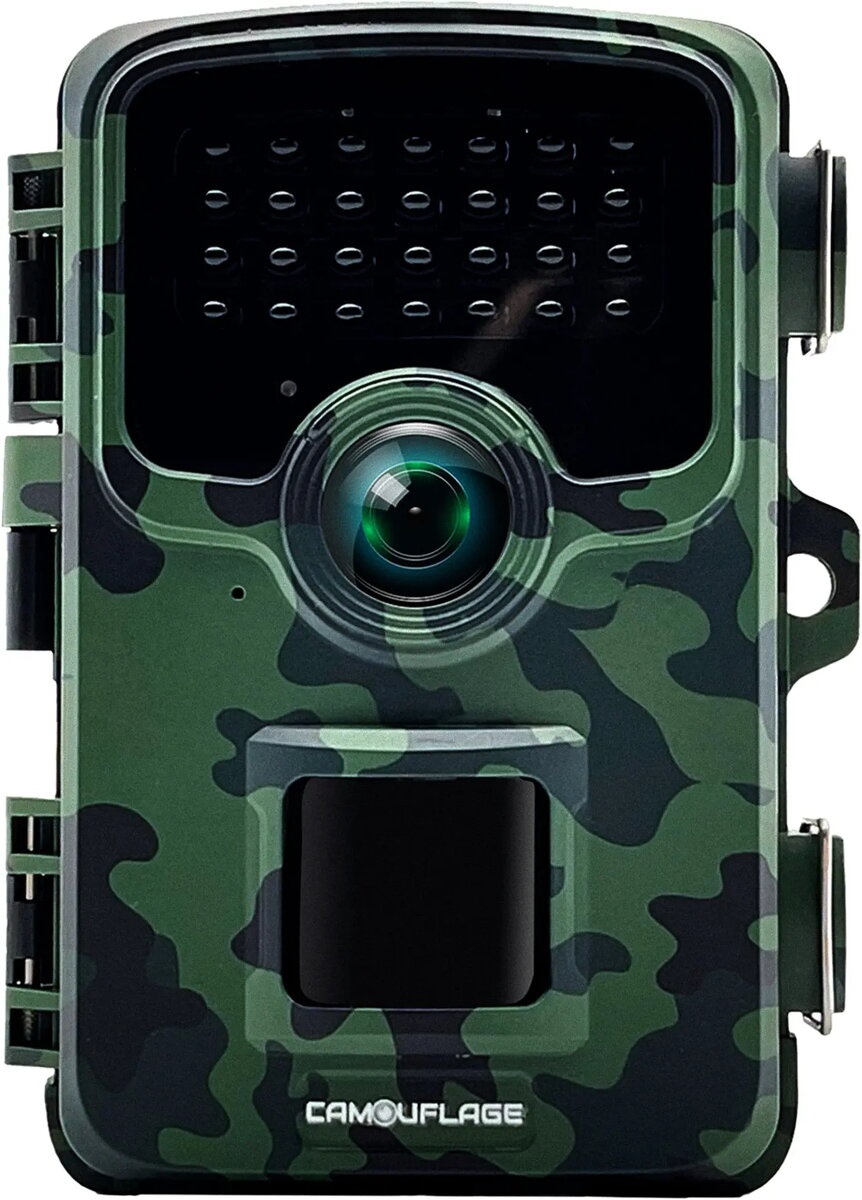 Surveillance Cameras