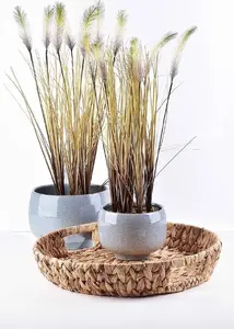 Artificial Flower 12.5 x H65 cm, No name (MPN HTQB3547 Mondex)