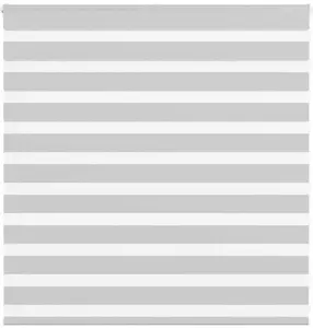 Roller zebra blind VidaXL model 4014426, light gray fabric width 140.9 cm, polyester
