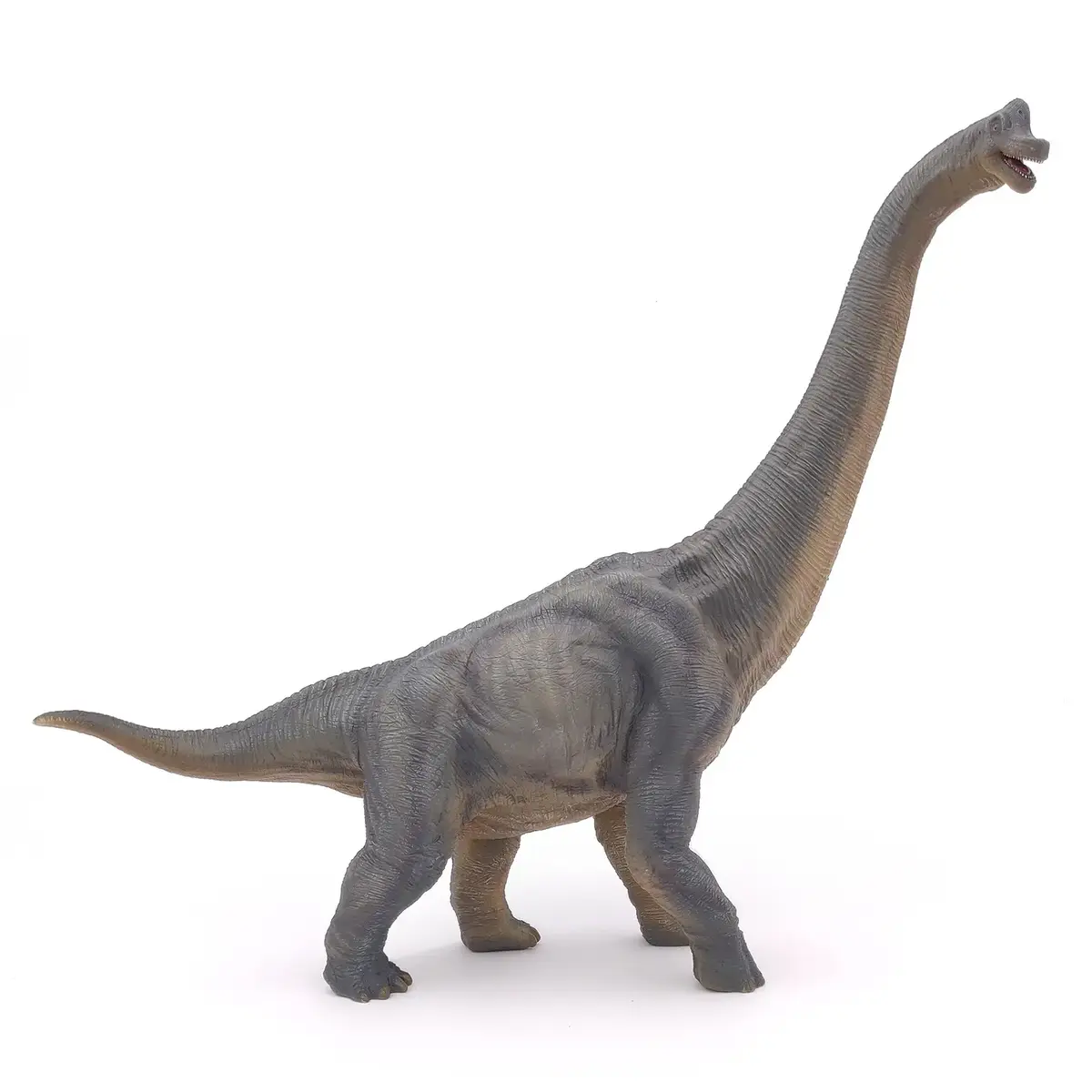 Hedo Papo Brachiosaurus ПВХ фигурка динозавра Photo 2