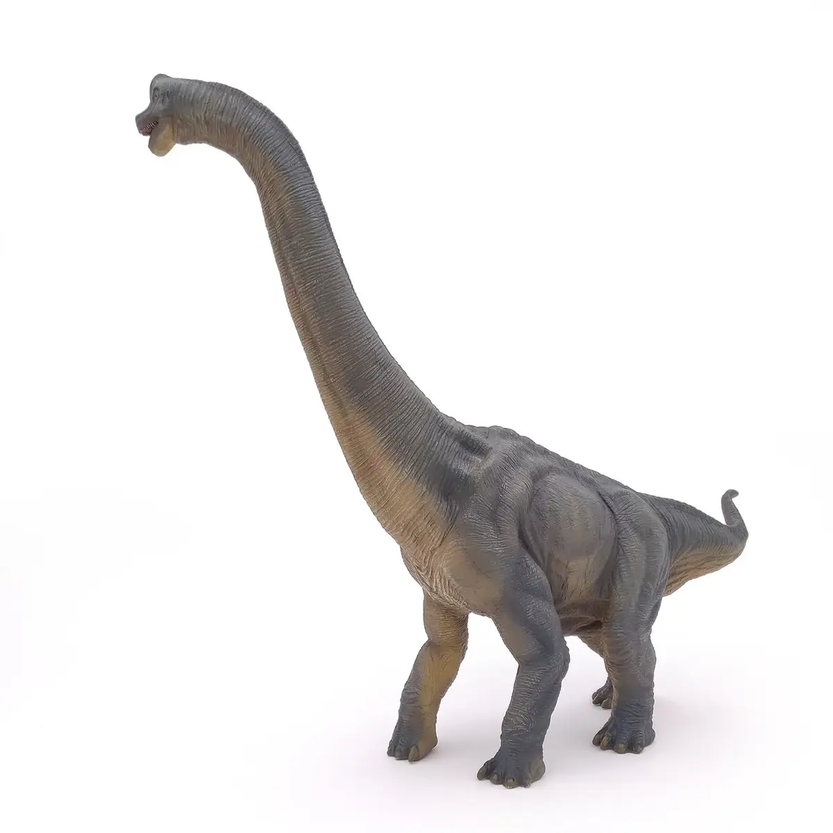Hedo Papo Brachiosaurus ПВХ фигурка динозавра Photo 4