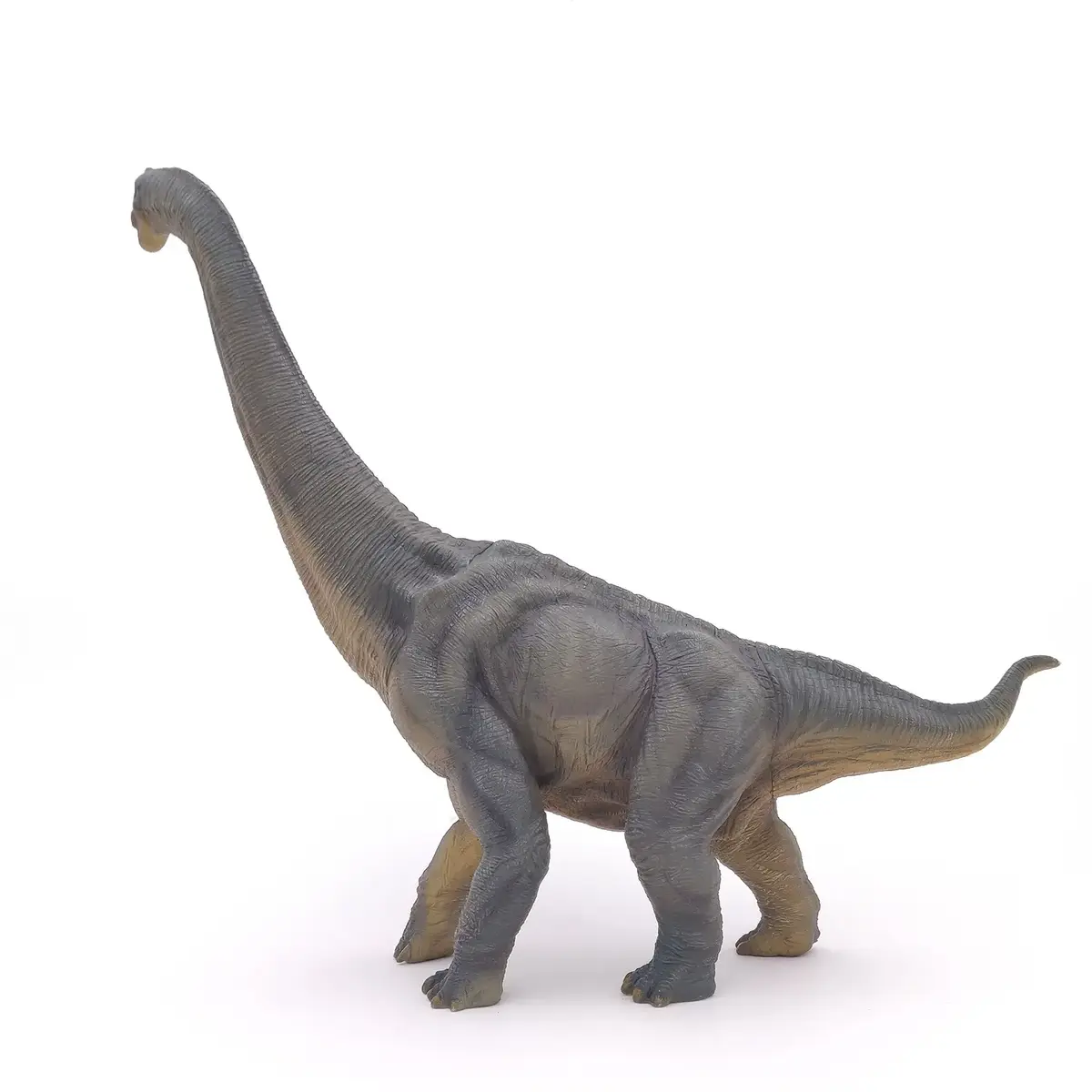 Hedo Papo Brachiosaurus ПВХ фигурка динозавра Photo 5
