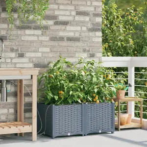 Flower pots VidaXL set of 2 with self-watering system, light gray