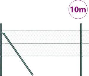 Садовая шестиугольная проволочная сетка VidaXL 0,8 x 10 м сталь