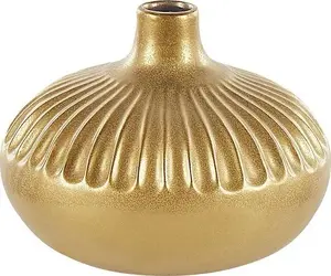 Dekoratīvs keramiskais vāze 20 cm zelta, No name (307060 Bel)