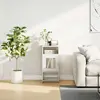 Буфет-комод VidaXL 853415 Photo 4