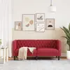 Двухместный диван VidaXL 372663 Photo 3