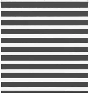 Rullo žalūzija zebra VidaXL — melna, auduma platums 140,9 cm, poliesters