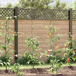 Augu spirāles atbalsts VidaXL 170 cm zaļa tērauds – dārza atbalsts